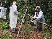 acari_045.jpg